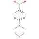 鄰二氟甲氧基苯硼酸-CAS:947533-11-1