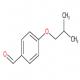 4-異丁氧基苯甲醛-CAS:18962-07-7